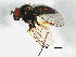 ( - BIOUG01640-E06)  @14 [ ] CreativeCommons - Attribution (2011) CBG Photography Group Centre for Biodiversity Genomics