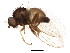  ( - BIOUG01683-H07)  @13 [ ] CreativeCommons - Attribution (2012) CBG Photography Group Centre for Biodiversity Genomics