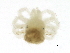  ( - BIOUG01238-F02)  @13 [ ] CreativeCommons - Attribution (2012) CBG Photography Group Centre for Biodiversity Genomics