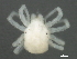  ( - BIOUG01238-F10)  @13 [ ] CreativeCommons - Attribution (2012) CBG Photography Group Centre for Biodiversity Genomics