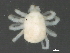  ( - BIOUG01238-F12)  @14 [ ] CreativeCommons - Attribution (2012) CBG Photography Group Centre for Biodiversity Genomics