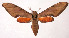  ( - 00-SRNP-3409)  @14 [ ] CreativeCommons - Attribution Non-Commercial Share-Alike (2003) Unspecified Guanacaste Dry Forest Conservation Fund