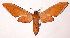  ( - 00-SRNP-3409)  @14 [ ] CreativeCommons - Attribution Non-Commercial Share-Alike (2003) Unspecified Guanacaste Dry Forest Conservation Fund