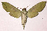  ( - 01-SRNP-9578)  @14 [ ] CreativeCommons - Attribution Non-Commercial Share-Alike (2003) Unspecified Guanacaste Dry Forest Conservation Fund
