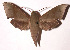 ( - 01-SRNP-9598)  @14 [ ] CreativeCommons - Attribution Non-Commercial Share-Alike (2003) Unspecified Guanacaste Dry Forest Conservation Fund
