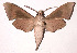  ( - 01-SRNP-9598)  @14 [ ] CreativeCommons - Attribution Non-Commercial Share-Alike (2003) Unspecified Guanacaste Dry Forest Conservation Fund