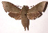  ( - 01-SRNP-9599)  @14 [ ] CreativeCommons - Attribution Non-Commercial Share-Alike (2003) Unspecified Guanacaste Dry Forest Conservation Fund