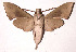  ( - 01-SRNP-9599)  @14 [ ] CreativeCommons - Attribution Non-Commercial Share-Alike (2003) Unspecified Guanacaste Dry Forest Conservation Fund