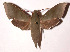  ( - 01-SRNP-9698)  @14 [ ] CreativeCommons - Attribution Non-Commercial Share-Alike (2003) Unspecified Guanacaste Dry Forest Conservation Fund