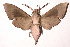  ( - 02-SRNP-16514)  @14 [ ] CreativeCommons - Attribution Non-Commercial Share-Alike (2003) Unspecified Guanacaste Dry Forest Conservation Fund