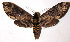  ( - 02-SRNP-18009)  @14 [ ] CreativeCommons - Attribution Non-Commercial Share-Alike (2003) Unspecified Guanacaste Dry Forest Conservation Fund