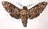  ( - 02-SRNP-19136)  @14 [ ] CreativeCommons - Attribution Non-Commercial Share-Alike (2003) Unspecified Guanacaste Dry Forest Conservation Fund