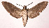  ( - 02-SRNP-19136)  @14 [ ] CreativeCommons - Attribution Non-Commercial Share-Alike (2003) Unspecified Guanacaste Dry Forest Conservation Fund