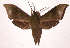  ( - 02-SRNP-23216)  @14 [ ] CreativeCommons - Attribution Non-Commercial Share-Alike (2003) Unspecified Guanacaste Dry Forest Conservation Fund