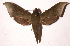  ( - 02-SRNP-24279)  @14 [ ] CreativeCommons - Attribution Non-Commercial Share-Alike (2003) Unspecified Guanacaste Dry Forest Conservation Fund