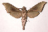  ( - 02-SRNP-24279)  @13 [ ] CreativeCommons - Attribution Non-Commercial Share-Alike (2003) Unspecified Guanacaste Dry Forest Conservation Fund