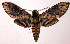  ( - 02-SRNP-3470)  @14 [ ] CreativeCommons - Attribution Non-Commercial Share-Alike (2003) Unspecified Guanacaste Dry Forest Conservation Fund