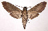  ( - 02-SRNP-3470)  @14 [ ] CreativeCommons - Attribution Non-Commercial Share-Alike (2003) Unspecified Guanacaste Dry Forest Conservation Fund