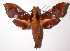  ( - 02-SRNP-35009)  @14 [ ] CreativeCommons - Attribution Non-Commercial Share-Alike (2003) Unspecified Guanacaste Dry Forest Conservation Fund