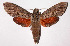  ( - 02-SRNP-35023)  @14 [ ] CreativeCommons - Attribution Non-Commercial Share-Alike (2003) Unspecified Guanacaste Dry Forest Conservation Fund