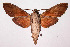  ( - 02-SRNP-35023)  @14 [ ] CreativeCommons - Attribution Non-Commercial Share-Alike (2003) Unspecified Guanacaste Dry Forest Conservation Fund