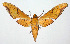  ( - 02-SRNP-35057)  @14 [ ] CreativeCommons - Attribution Non-Commercial Share-Alike (2003) Unspecified Guanacaste Dry Forest Conservation Fund