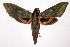  ( - 02-SRNP-35066)  @14 [ ] CreativeCommons - Attribution Non-Commercial Share-Alike (2003) Unspecified Guanacaste Dry Forest Conservation Fund