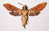  ( - 02-SRNP-35068)  @13 [ ] CreativeCommons - Attribution Non-Commercial Share-Alike (2003) Unspecified Guanacaste Dry Forest Conservation Fund