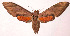  ( - 03-SRNP-2266)  @14 [ ] CreativeCommons - Attribution Non-Commercial Share-Alike (2003) Unspecified Guanacaste Dry Forest Conservation Fund