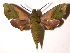  ( - 03-SRNP-5273)  @14 [ ] CreativeCommons - Attribution Non-Commercial Share-Alike (2003) Unspecified Guanacaste Dry Forest Conservation Fund