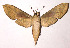  ( - 86-SRNP-368)  @14 [ ] CreativeCommons - Attribution Non-Commercial Share-Alike (2003) Unspecified Guanacaste Dry Forest Conservation Fund