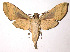  ( - 88-SRNP-493)  @14 [ ] CreativeCommons - Attribution Non-Commercial Share-Alike (2003) Unspecified Guanacaste Dry Forest Conservation Fund