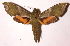  ( - 93-SRNP-8076)  @14 [ ] CreativeCommons - Attribution Non-Commercial Share-Alike (2003) Unspecified Guanacaste Dry Forest Conservation Fund