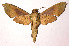  ( - 93-SRNP-8076)  @14 [ ] CreativeCommons - Attribution Non-Commercial Share-Alike (2003) Unspecified Guanacaste Dry Forest Conservation Fund