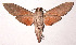  ( - 95-SRNP-4492)  @14 [ ] CreativeCommons - Attribution Non-Commercial Share-Alike (2003) Unspecified Guanacaste Dry Forest Conservation Fund