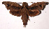  ( - 97-SRNP-802)  @14 [ ] CreativeCommons - Attribution Non-Commercial Share-Alike (2003) Unspecified Guanacaste Dry Forest Conservation Fund