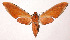  ( - 98-SRNP-14654)  @14 [ ] CreativeCommons - Attribution Non-Commercial Share-Alike (2003) Unspecified Guanacaste Dry Forest Conservation Fund