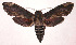  ( - 99-SRNP-11676)  @14 [ ] CreativeCommons - Attribution Non-Commercial Share-Alike (2003) Unspecified Guanacaste Dry Forest Conservation Fund