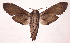  ( - 99-SRNP-11676)  @14 [ ] CreativeCommons - Attribution Non-Commercial Share-Alike (2003) Unspecified Guanacaste Dry Forest Conservation Fund