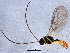  ( - BIOUG01638-B08)  @12 [ ] CreativeCommons - Attribution (2012) CBG Photography Group Centre for Biodiversity Genomics