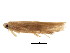  ( - BIOUG01630-E07)  @13 [ ] CreativeCommons - Attribution (2012) CBG Photography Group Centre for Biodiversity Genomics