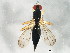  ( - BIOUG01640-D06)  @13 [ ] CreativeCommons - Attribution (2011) CBG Photography Group Centre for Biodiversity Genomics