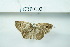  ( - UMKL-JSSW-103)  @12 [ ] Unspecified (default): All Rights Reserved  Unspecified Unspecified