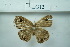 ( - UMKL-JSSW-LG12)  @12 [ ] Unspecified (default): All Rights Reserved  Unspecified Unspecified
