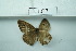  ( - UMKL-JSSW-LG7)  @12 [ ] Unspecified (default): All Rights Reserved  Unspecified Unspecified