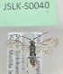  ( - JSLK-S0040)  @11 [ ] by-nc (2020) Juha Salokannel University of Oulu
