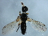  ( - YUKIN-0251)  @12 [ ] CreativeCommons - Attribution (2010) CBG Photography Group Centre for Biodiversity Genomics