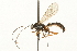  ( - JSYKB-104)  @14 [ ] CreativeCommons - Attribution (2010) Unspecified Centre for Biodiversity Genomics