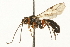  ( - JSYKB-115)  @12 [ ] CreativeCommons - Attribution (2010) Unspecified Centre for Biodiversity Genomics