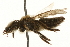  ( - JSYKB-067)  @14 [ ] CreativeCommons - Attribution (2010) Unspecified Centre for Biodiversity Genomics